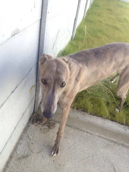 13717958 10153525503150194 1335592517 o