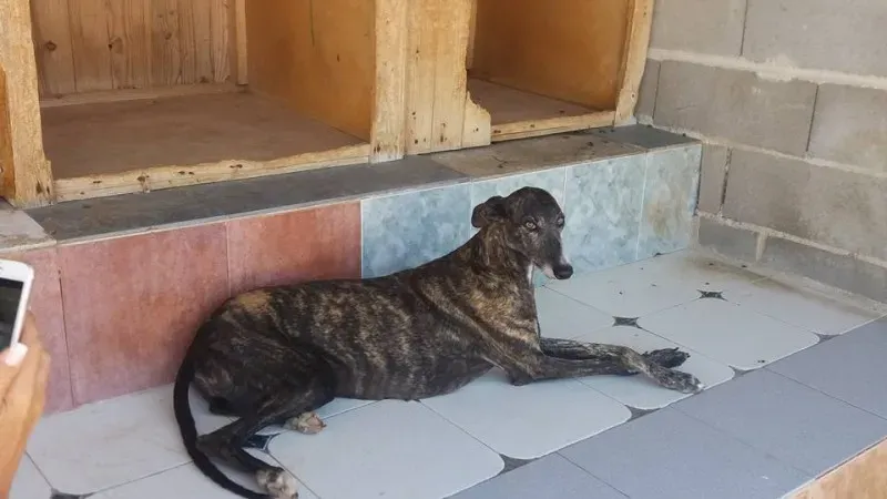 13718504 1068105526606635 8794004382076001390 n