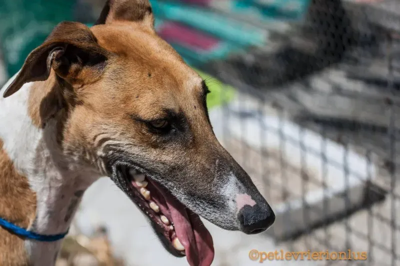 13719468 1069080249842496 5786379897773825887 o