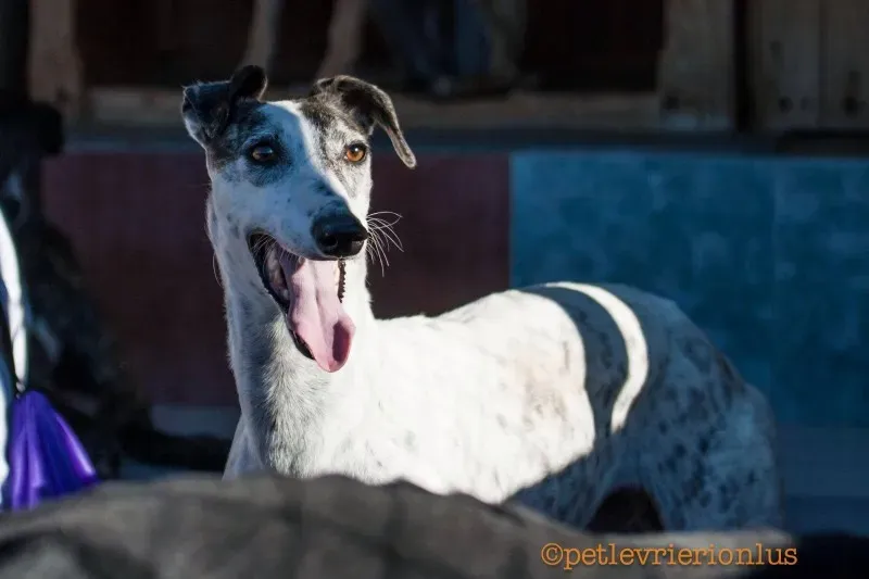 13720399 10208603801405148 961965586 o