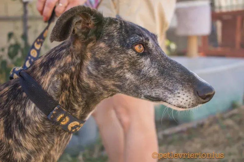 13724822 1069077839842737 3181022077391632199 o