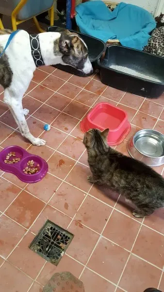 13728473 10208813714753753 255760569 o