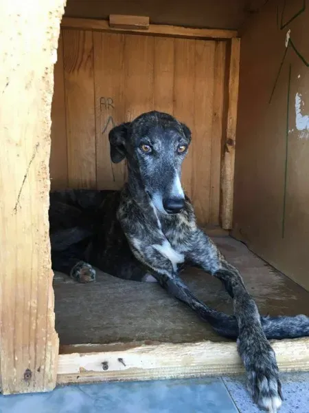 13729048 1068106183273236 322767851781983513 n