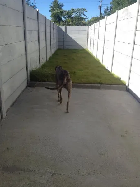 13730662 10153525503500194 1602087216 o