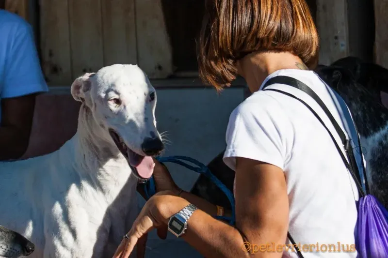 13730885 1069080826509105 3432559097008946263 o