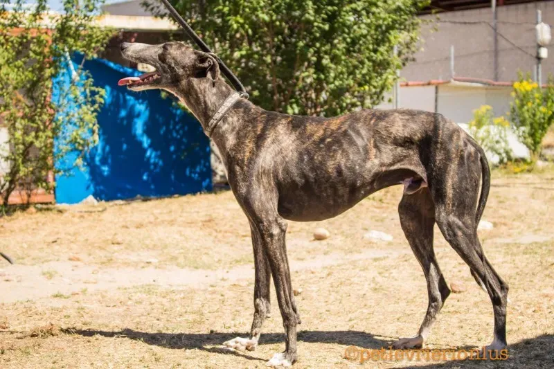 13730952 1069072566509931 4908169897581064407 o