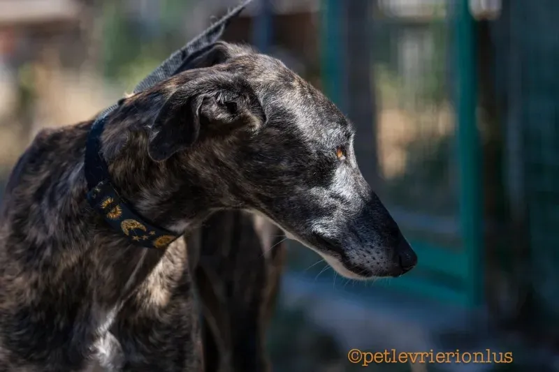 13731993 1069077973176057 524719945109830323 o