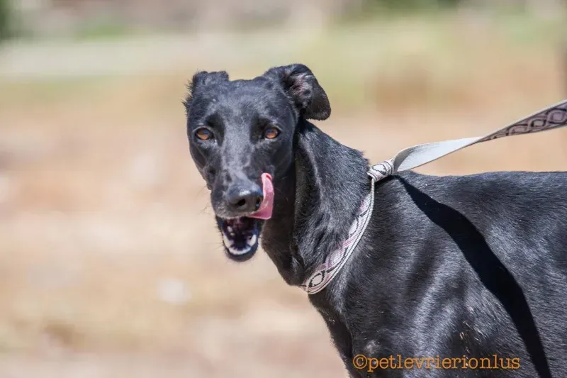 13734896 1069069826510205 4597674567317884956 o