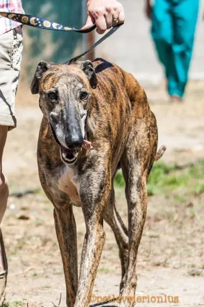 13735043 1069072806509907 7124933823324100292 o