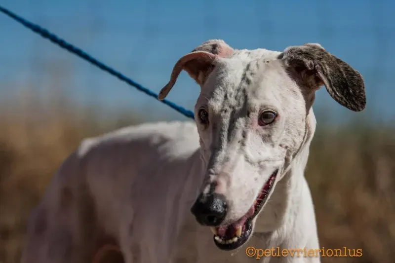 13735086 1069080689842452 2033789531362879944 o