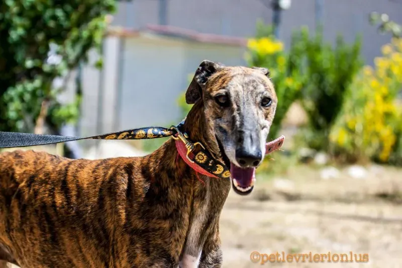 13735102 1069072866509901 7983042404360433090 o