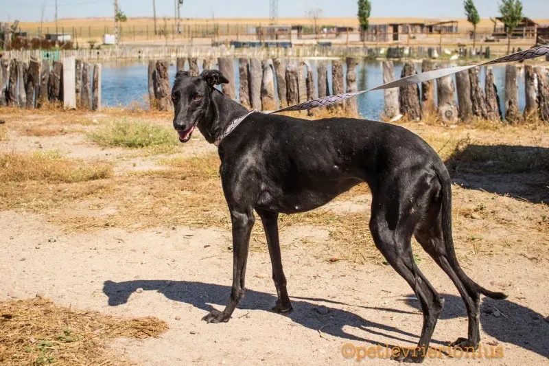 13737459 1069069816510206 4531968099018777510 o