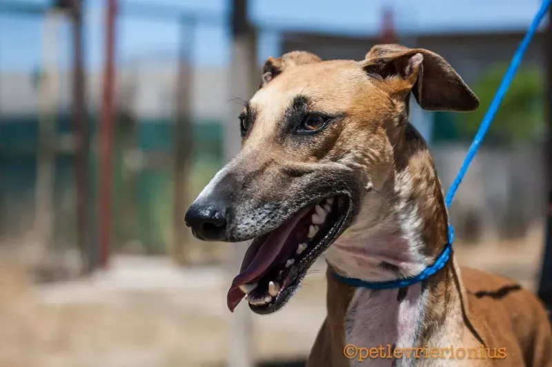 13737627 1069080176509170 1093519587708792606 o