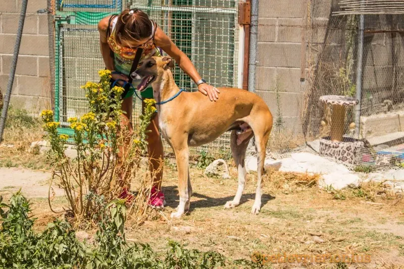 13738282 1069080129842508 8102468825965709180 o