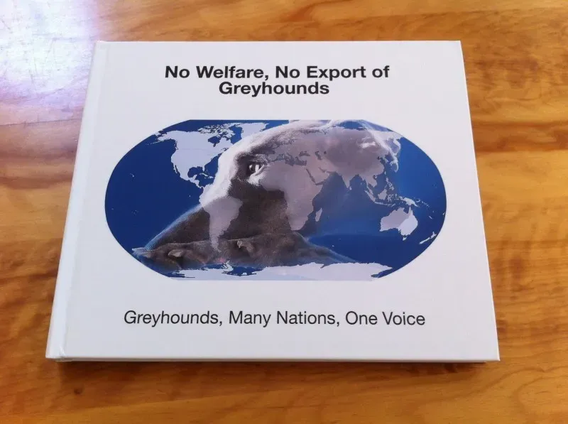 13738311 177215942696338 6341565298873150772 o