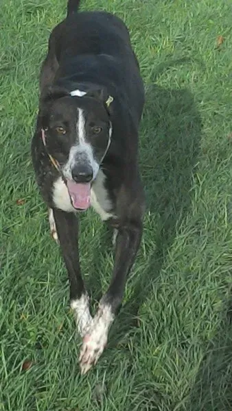 1374113 10204258116706649 8215914751223137740 n