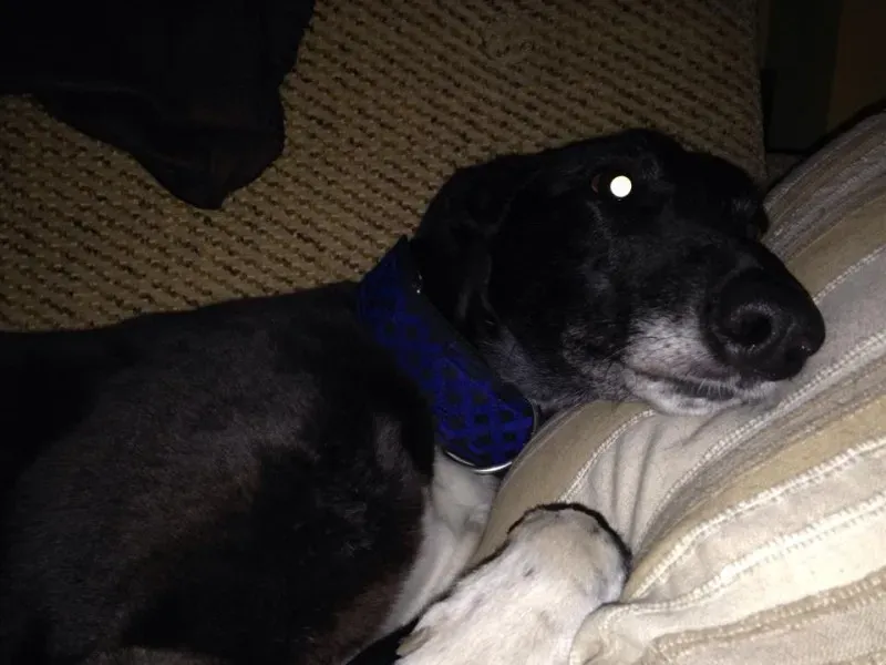 1374797 763605733657483 5384800227968995997 n