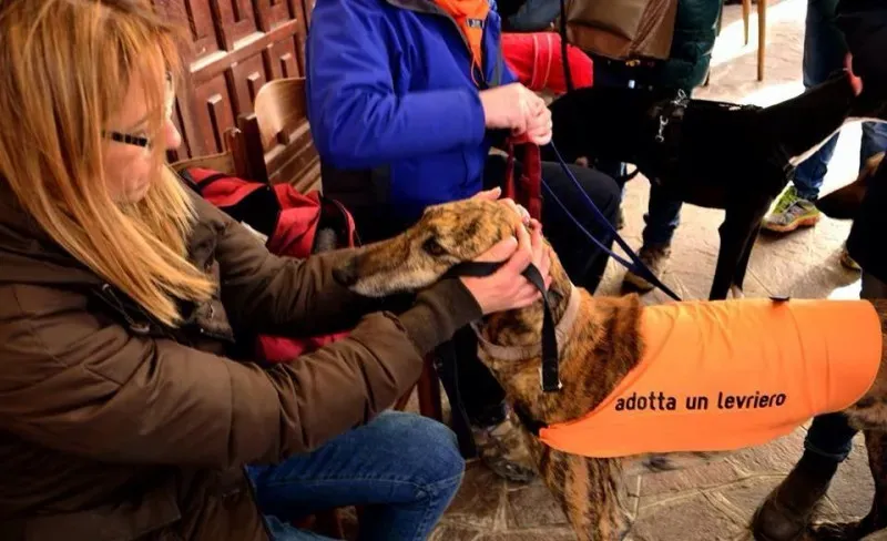 1374821 10204477525952029 8298154157616537656 n