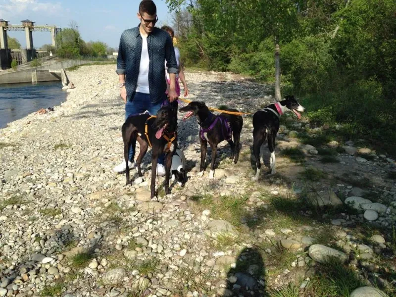 1374827 763605493657507 7210967629074159696 n