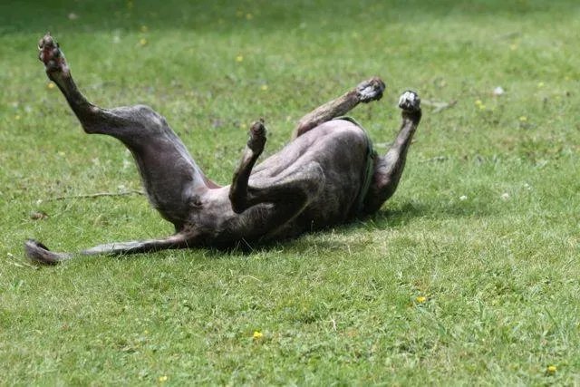 1374973 4721801022643 892611426 n