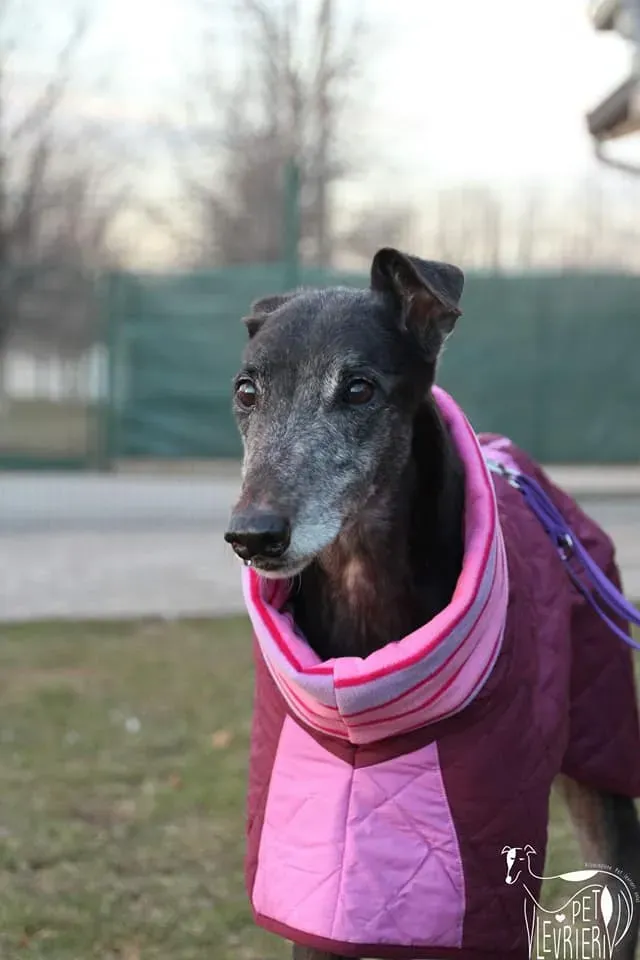 137520119 10221876751725775 3637398391485083285 n