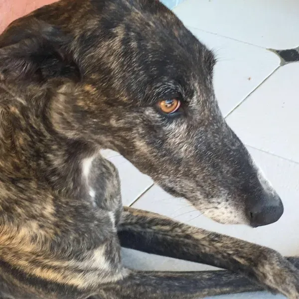 13754466 1068107153273139 7851745909012531115 n