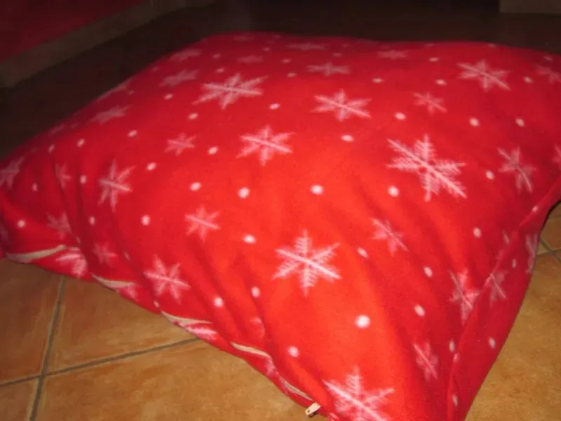 1376431 724001321017059 6444654443832068323 n