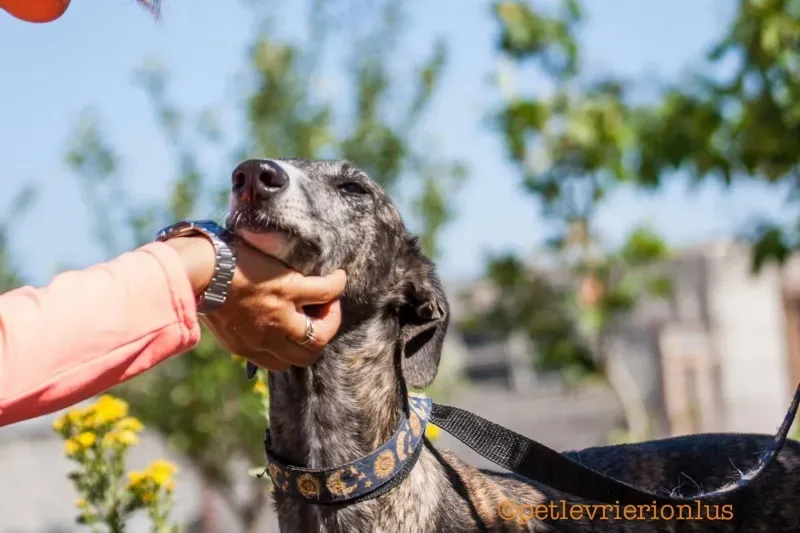 13765688 1069077986509389 6191849412534282641 o