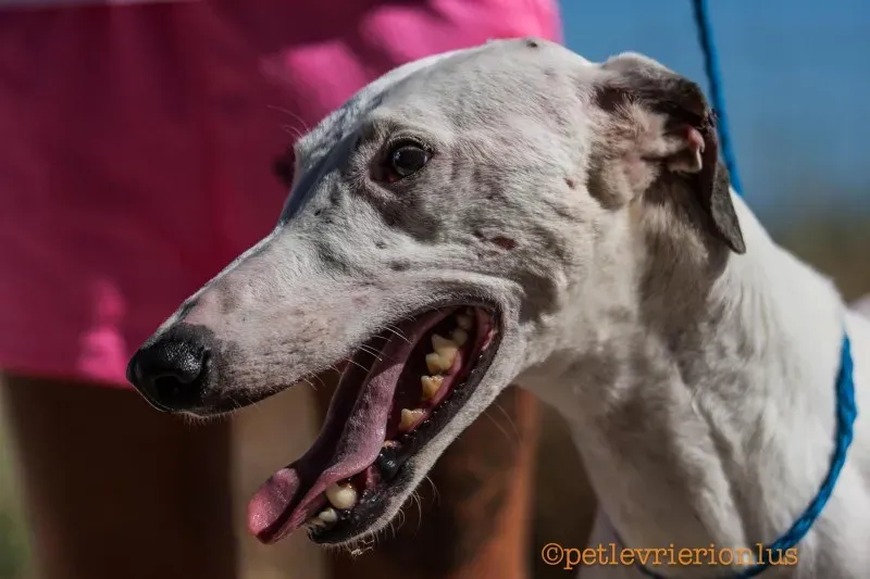 13765715 1069080799842441 2351596008344906449 o