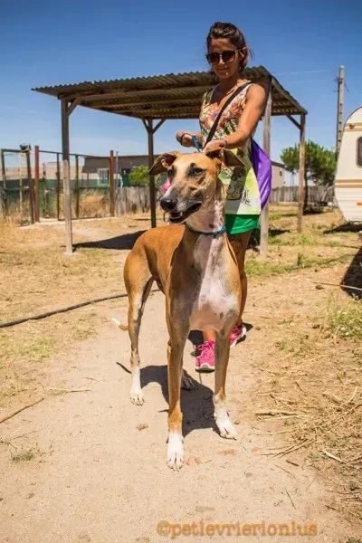 13765757 1069080103175844 4361589896403734040 o