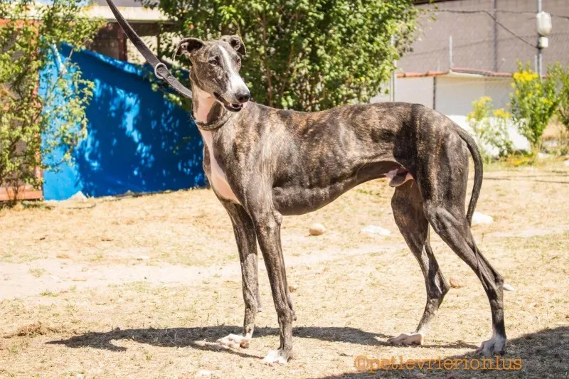 13765801 1069072549843266 2859132937628711514 o