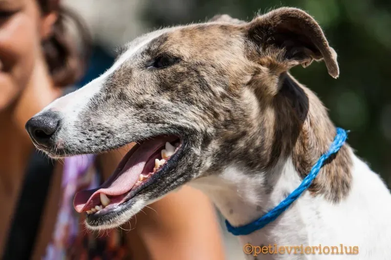 13767148 1069073816509806 6615051477798137941 o