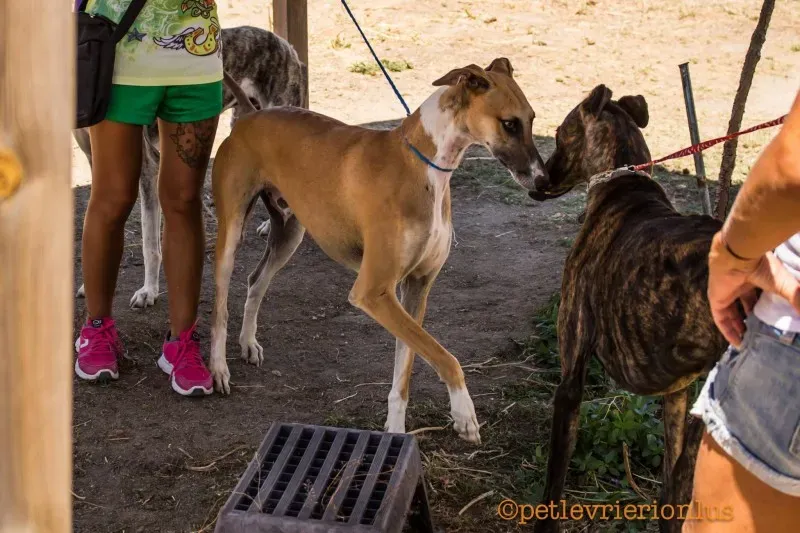 13767199 1069079789842542 1920077798430118525 o