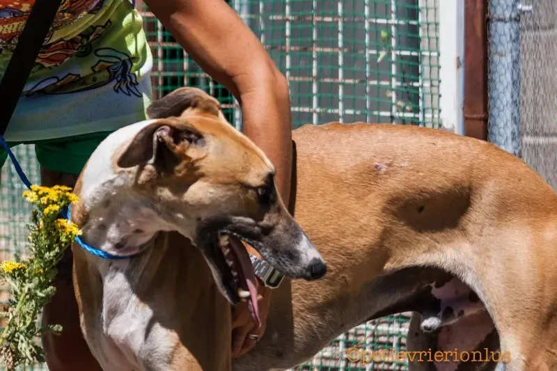 13767205 1069080283175826 763195880961543412 o