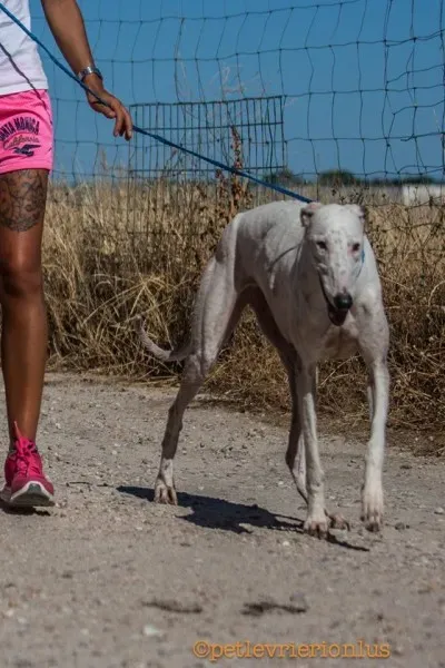 13767272 1069080696509118 7115251197684008085 o