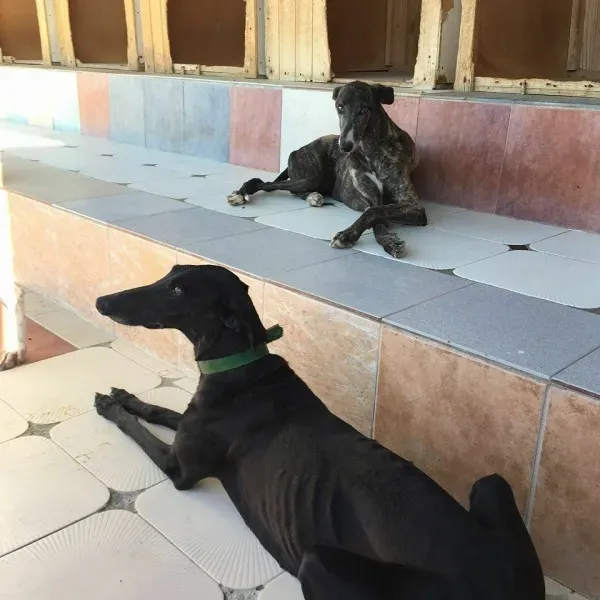 13775861 1068106816606506 3048967518373712069 n