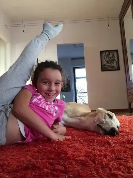 1378786 371280576361995 4267481724615262423 n