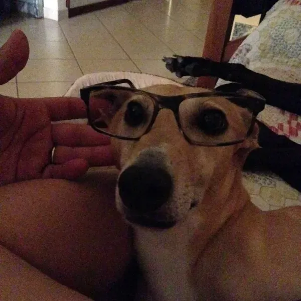 1379636 10205767159040188 2965687297512449389 n