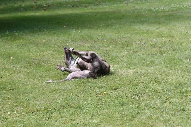 1379653 4721799662609 1036505759 n