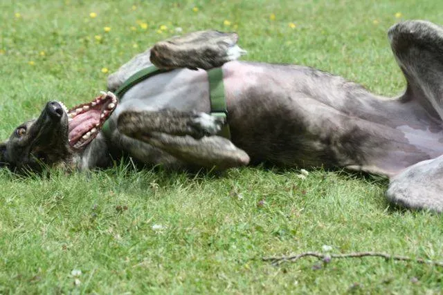 1380613 4721803102695 1921282499 n