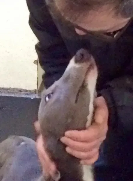 1382189 1758285411066105 742358465743913403 n