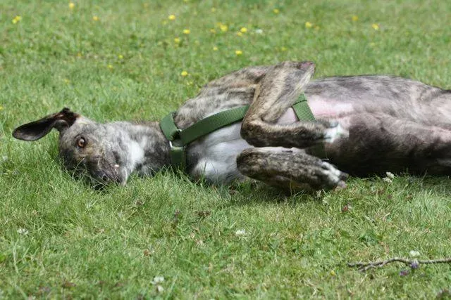 1382996 4721803182697 1749931523 n