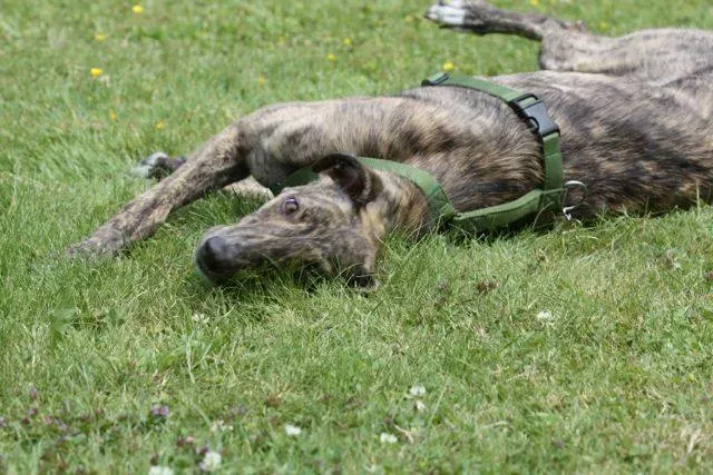 1383136 4721803662709 1517368039 n