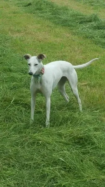 13833101 10208813440346893 29333785 o