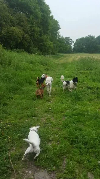 13833294 10208813440466896 514609075 o