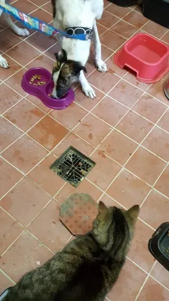 13833377 10208813715073761 1725010848 o