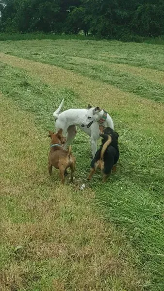 13833514 10208813440746903 517098381 o