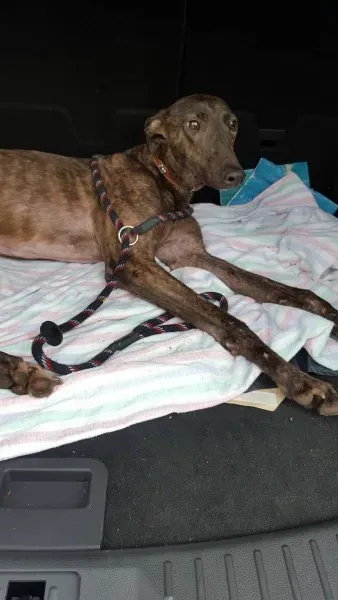 13835445 10208813585670526 566439945 o