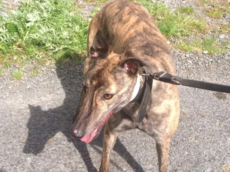 13835517 1049679501782989 1078067689 o