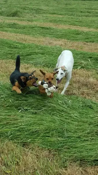 13835537 10208813440946908 990656998 o